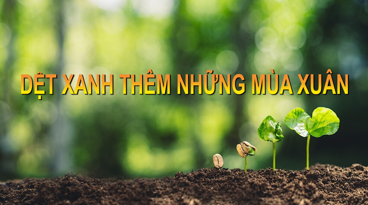 Dệt xanh thêm những mùa xuân